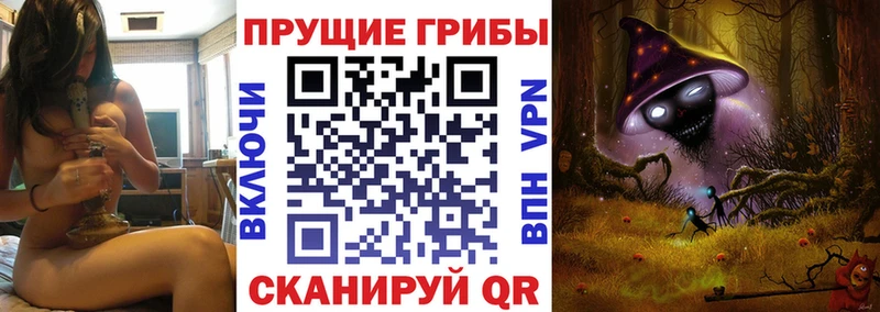 наркошоп Ипатово blacksprut маркетплейс Галлюциногенные грибы Magic Shrooms