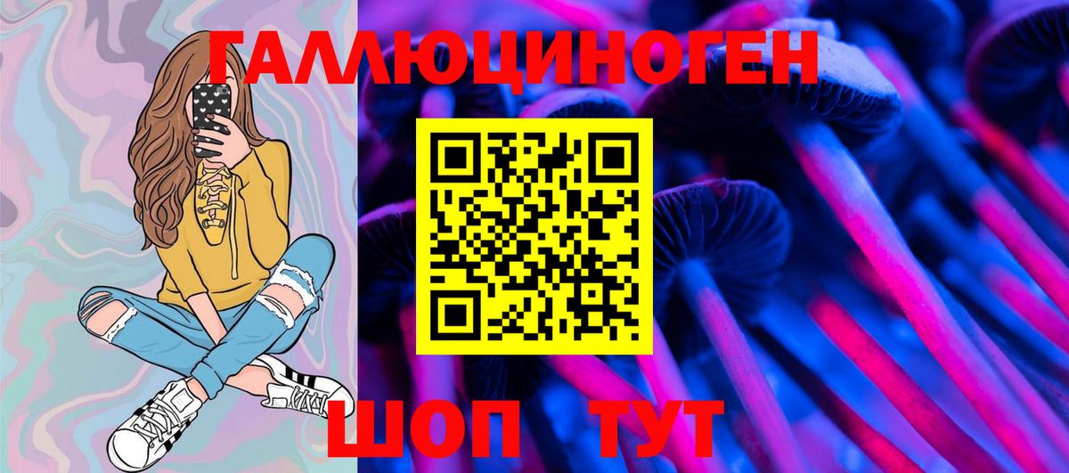 Галлюциногенные грибы Psilocybine cubensis Ипатово