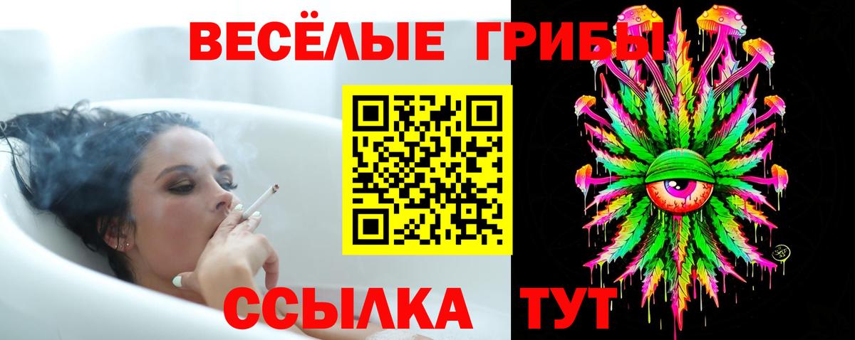 Ипатово  Псилоцибиновые грибы Psilocybe  Вход с VPN  Псилоцибиновые грибы мухоморы 